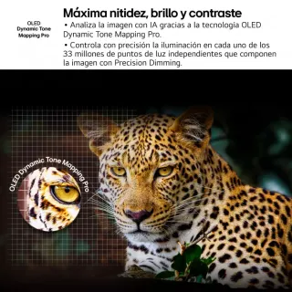 LG OLED evo AI 77 4K 2025 Nuevo