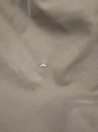 Saco Silla Bugaboo Gris Invierno