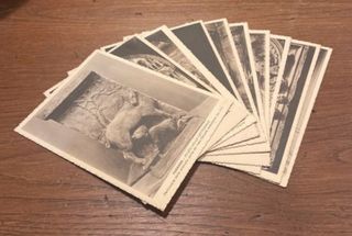 Cartoline Terni Nuove Mai Usate