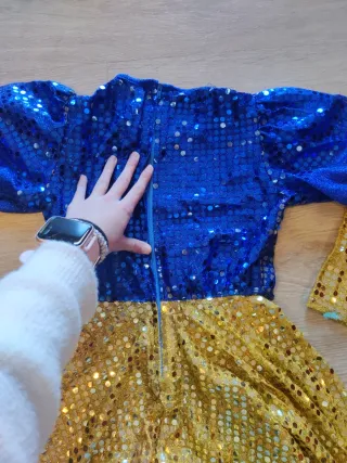 Disfraz lentejuelas niña 5-8 años