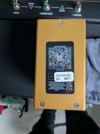 Jackson Audio Golden Boy