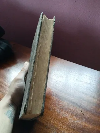 Libro ( La cabeza del Rey Don Pedro) de 1858