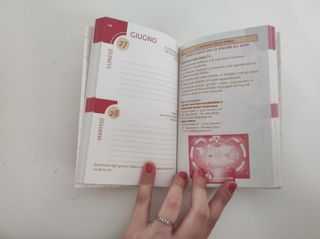 Agenda 2005 Senza Frontiere Vintage/Collezionismo