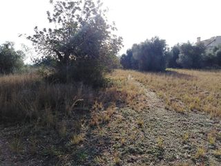 Terreno en venta en Las Atalayas - Urmi - Cerro Mar en Peñíscola