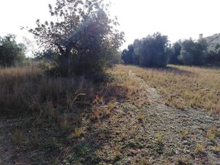 Terreno en venta en Las Atalayas - Urmi - Cerro Mar en Peñíscola