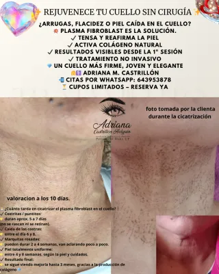 Cejas Airtroke y Microblading