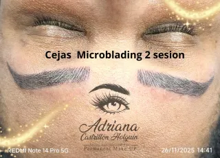 Cejas Airtroke y Microblading