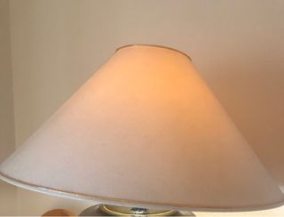 Tulipa para lámpara de salon