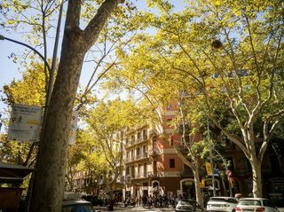 Piso en alquiler en La Torrassa en Hospitalet de Llobregat, L´