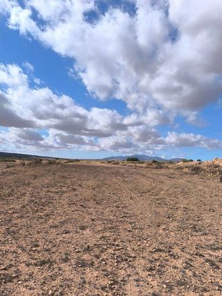 Terreno en venta en Pinós