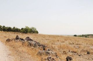 Terreno en venta en Campo de Criptana