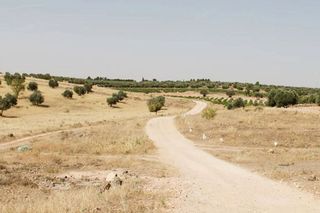 Terreno en venta en Campo de Criptana