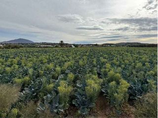 Terreno en venta en Huércal-Overa