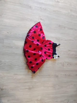 Disfraz de mariquita para niña