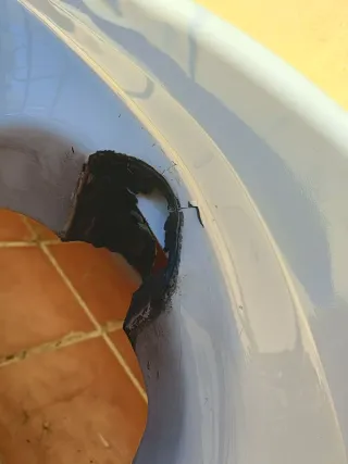 Paragolpes Trasero Honda Civic Type R EP3