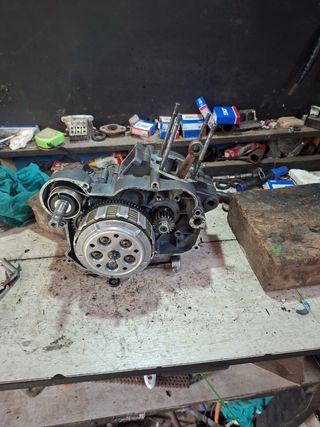 Derbi Senda Xtreme Negra