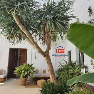 Casa adosada en venta en Centro-Calzada-Cabo Noval en Sanlúcar de Barrameda