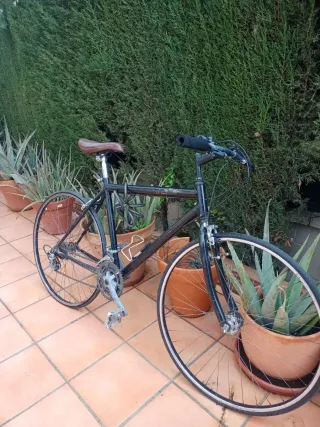 Bicicleta de montaña
