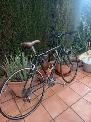 Bicicleta de montaña
