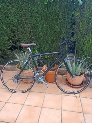 Bicicleta de montaña