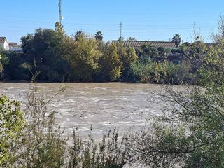Casa adosada en venta en Alcalá del Río