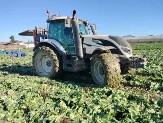 Tractor Valtra T174 Blanco