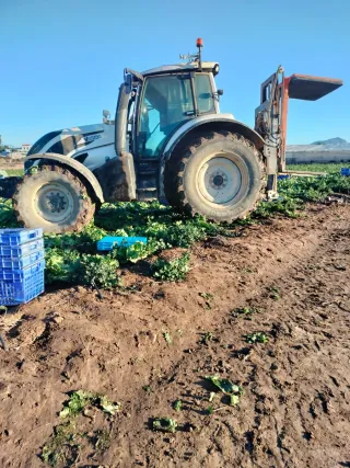 Tractor Valtra T174 Blanco
