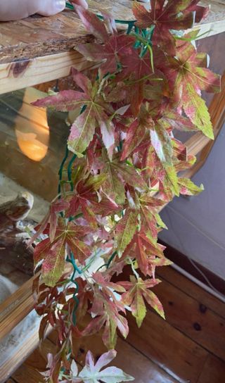 Plantas artificiales para terrario