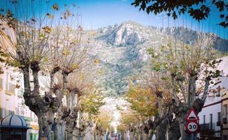 Terreno en venta en Ubrique