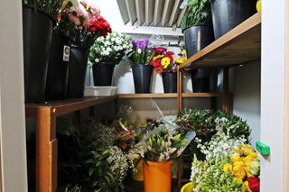 Local comercial en venta en Casco Antiguo - Centro en Badajoz