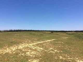 Terreno en venta en Almonte en Almonte