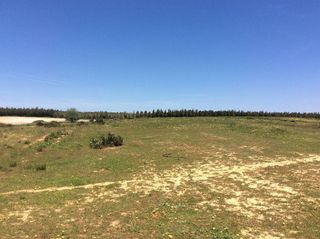 Terreno en venta en Almonte en Almonte