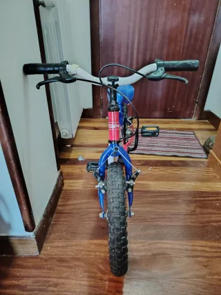 Bicicleta Infantil Roja y Azul