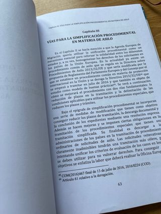 El Derecho de Asilo: En aras de un complejo equ...
