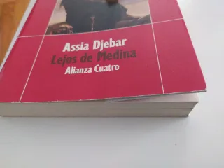 Lejos de Medina (Alianza Cuatro) (Spanish Edition)