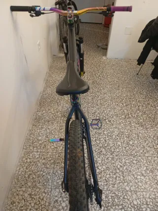 Bicicleta Montaña Specialized Modificada