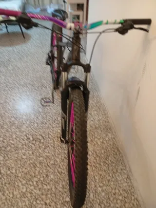 Bicicleta Montaña Specialized Modificada