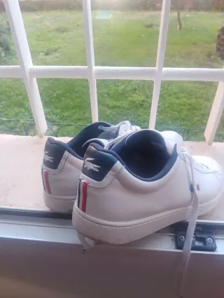 Zapatillas Lacoste Talla 43