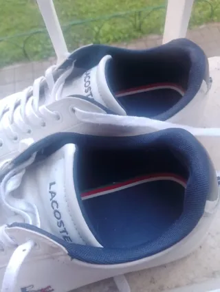 Zapatillas Lacoste Talla 43