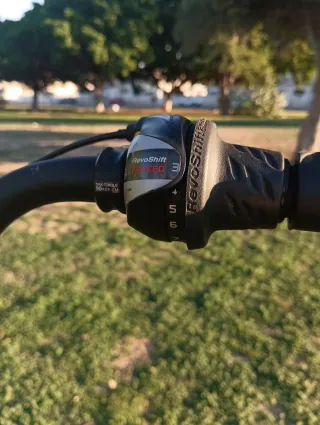 Bicicleta Paseo Megamo Top City II