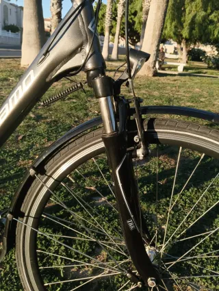 Bicicleta Paseo Megamo Top City II