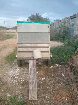 Remolque Ligero con papeles.