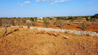 Solar en venta en Santanyí
