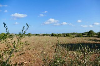 Solar en venta en Santanyí