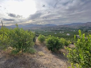 Terreno en venta en Pizarra