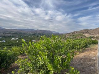 Terreno en venta en Pizarra