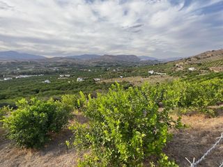 Terreno en venta en Pizarra