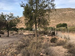 Terreno en venta en Vícar en Vícar