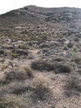 Terreno en venta en Vícar en Vícar