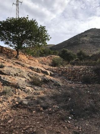 Terreno en venta en Vícar en Vícar